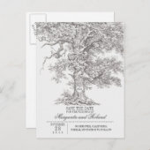 灰色の古いオークの木は日付はがきを保存 案内ポストカード (正面/裏面)