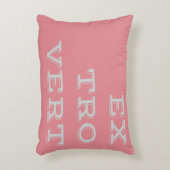 灰色の外向きアクセント枕 アクセントクッション (正面(垂直))