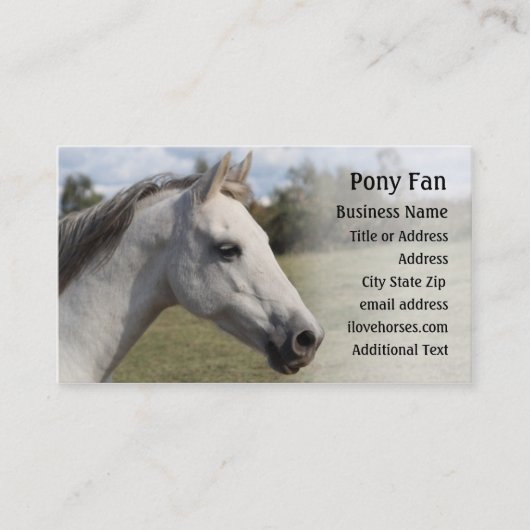 灰色の子馬-写真の名刺 名刺 (正面)