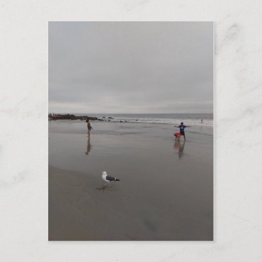 灰色の日のビーチ ポストカード (正面)