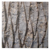 灰色の樹皮の質 タイル (正面)