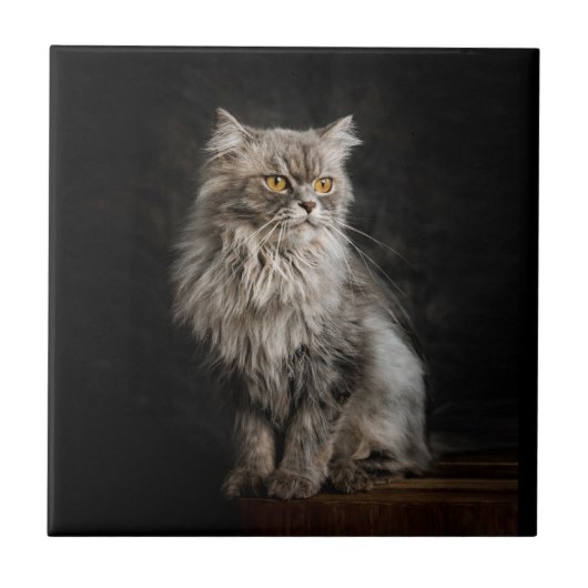 灰色の毛の生えた猫 タイル (正面)