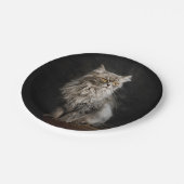 灰色の毛の生えた猫 ペーパープレート (アングル)
