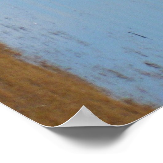 灰色の海離れ鳥 ポスター (角)