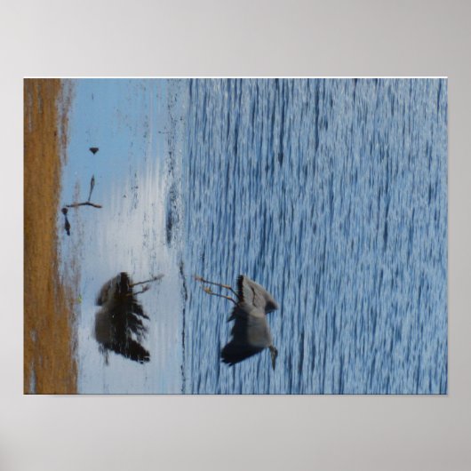 灰色の海鳥の中 ポスター (正面)