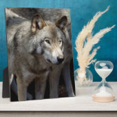 灰色の狼が立っている フォトプラーク (側面)