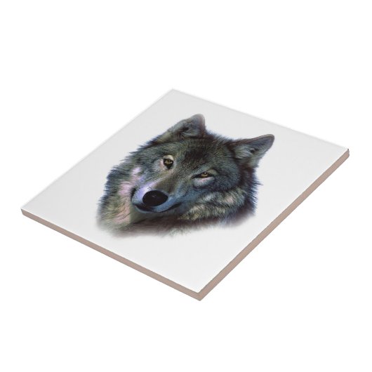 灰色の狼の目 タイル (側面)