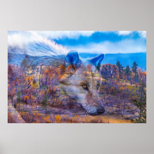 灰色の狼後を追の流れ ポスター (正面)