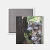 灰色の狼 マグネット (正面/裏面)