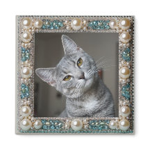 灰色の猫の思い出の錨