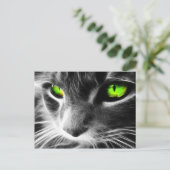 灰色の猫の緑の目 ポストカード (スタンド正面)