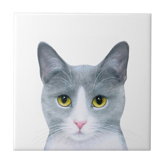灰色の猫の肖像画 611 タイル (正面)