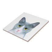 灰色の猫の肖像画 611 タイル (側面)