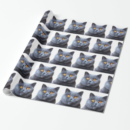灰色の猫の黄色い目 ラッピングペーパー (アンロールド)