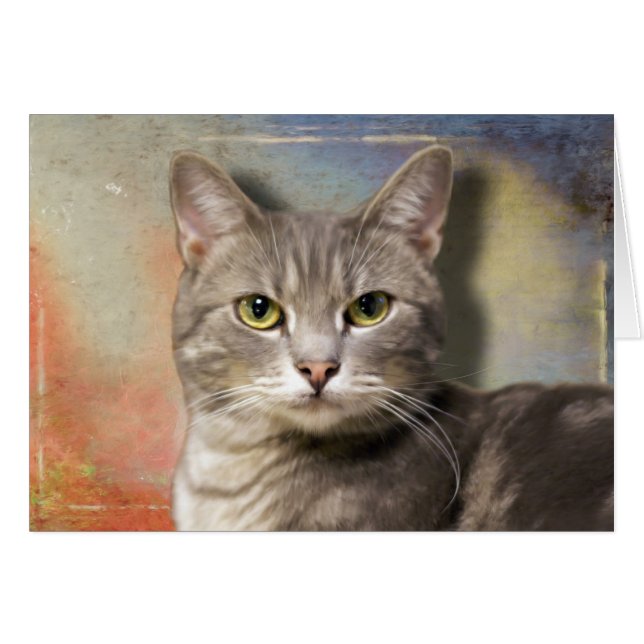 灰色の猫をポキエ (正面横)