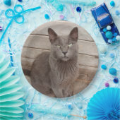 灰色の猫 ペーパープレート (パーティー)