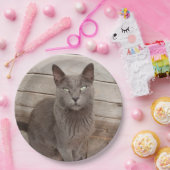 灰色の猫 ペーパープレート (パーティー)