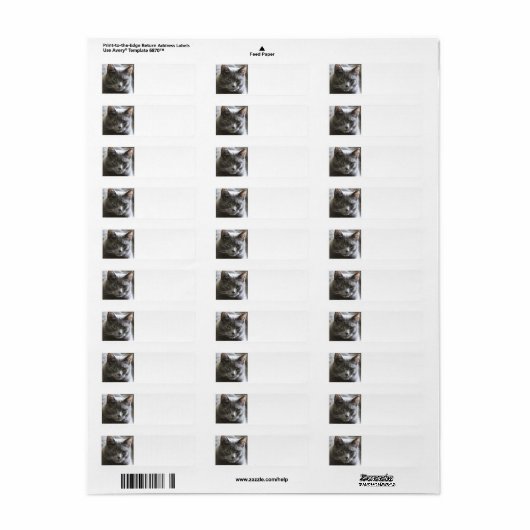 灰色の猫 ラベル (フルシート)