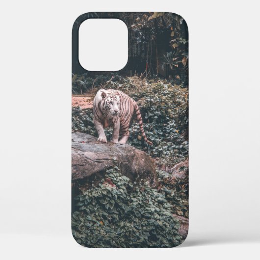 灰色の石の上に立つ白い虎 Case-Mate iPhoneケース (裏面)