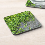 灰色の石の上に緑のコケEntodon誘惑 コースター (左側)