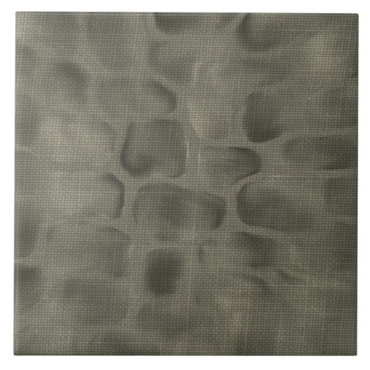 灰色の石造りパターン質のセラミックタイル タイル (正面)