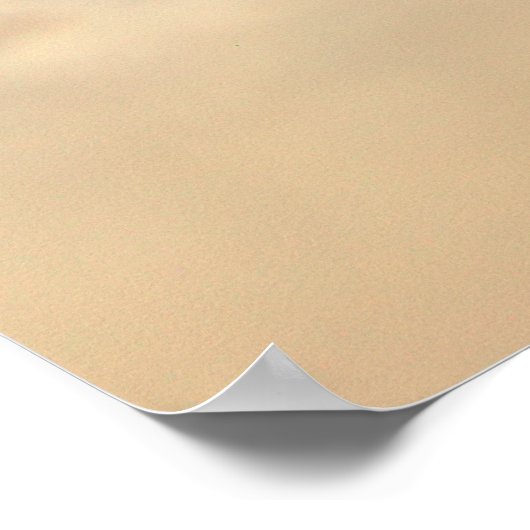 灰色の砂亀 ポスター (角)