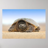 灰色の砂亀 ポスター (正面)