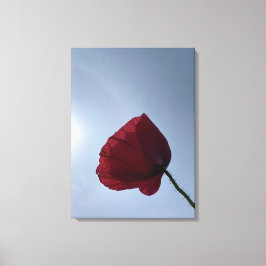 灰色の空で赤いポピーをコーニッシュ キャンバスプリント