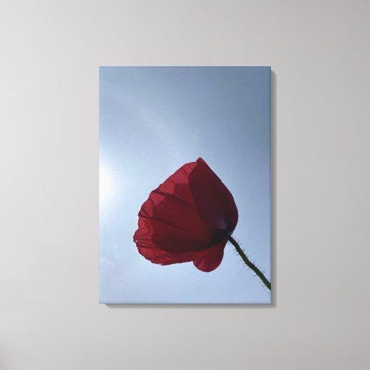 灰色の空で赤いポピーをコーニッシュ キャンバスプリント (正面)