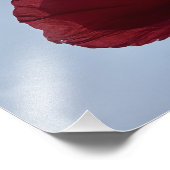 灰色の空で赤いポピーをコーニッシュ フォトプリント            (角)