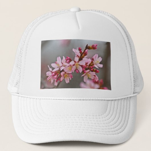 灰色の空にピンク色の日本のさくらんぼ キャップ (正面)