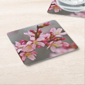 灰色の空にピンク色の日本のさくらんぼ スクエアペーパーコースター (アングル)