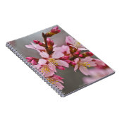 灰色の空にピンク色の日本のさくらんぼ ノートブック (右側)