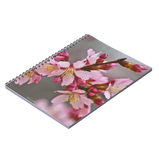 灰色の空にピンク色の日本のさくらんぼ ノートブック (左側)