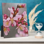 灰色の空にピンク色の日本のさくらんぼ フォトプラーク (側面)