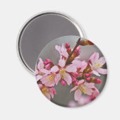 灰色の空にピンク色の日本のさくらんぼ マグネット (正面/裏面)