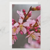 灰色の空にピンク色の日本のさくらんぼ 便箋 (正面/裏面)