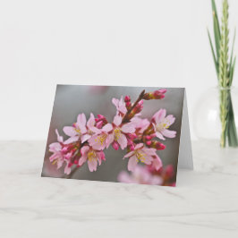 灰色の空に映えるピンクの日本の桜 カード