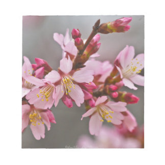 灰色の空に映えるピンクの日本の桜 ノートパッド