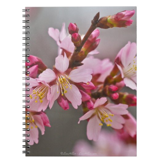 灰色の空に映えるピンクの日本の桜 ノートブック (正面)