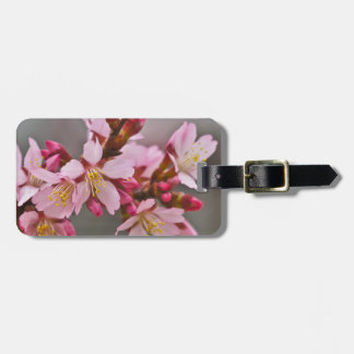 灰色の空に映えるピンクの日本の桜 ラゲッジタグ