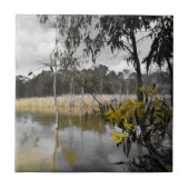 灰色の空の下の反射 タイル (正面)