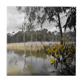 灰色の空の下の反射 タイル