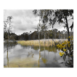 灰色の空の下の反射 フォトプリント           