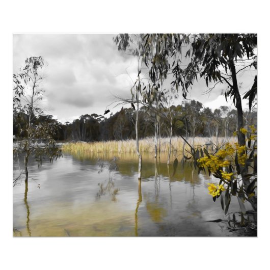 灰色の空の下の反射 フォトプリント            (正面)