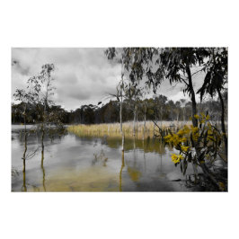 灰色の空の下の反射 ポスター