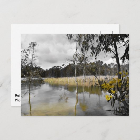 灰色の空の下の反射 ポストカード (正面/裏面)