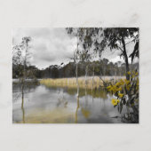 灰色の空の下の反射 ポストカード (正面)
