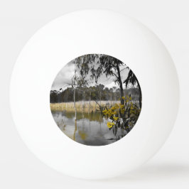 灰色の空の下の反射 卓球ボール