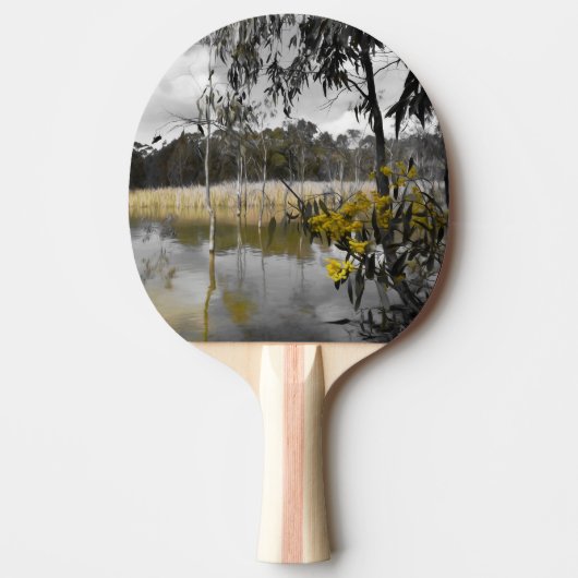灰色の空の下の反射 卓球ラケット (正面)